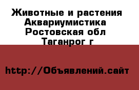 Животные и растения Аквариумистика. Ростовская обл.,Таганрог г.